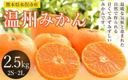 温州みかん 約2.5kg 2S〜2L みかん 果物 くだもの フルーツ 柑橘 [2024年12月上旬までに発送予定]