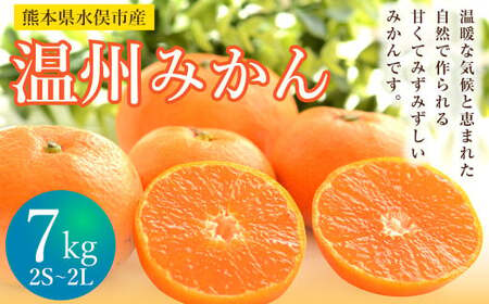 温州みかん 約7kg 2S～2L みかん 果物 くだもの フルーツ 柑橘 【2024年12月上旬までに発送予定】