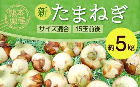 熊本県産 新たまねぎ サイズ混合 約5kg 15玉前後 野菜 タマネギ 玉ねぎ サラダ [2025年3月上旬‐4月上旬迄発送予定]