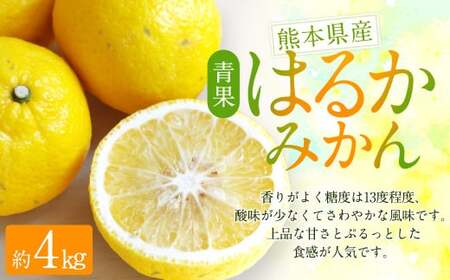 はるかみかん 約4kg (サイズ混合・無選果・ご自宅用)[2025年2月下旬〜4月下旬迄発送予定] はるか 日向夏 家庭用 みかん 果物 フルーツ 柑橘 ご家庭用