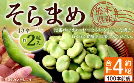 熊本県産 そらまめ 約4kg(2粒) 野菜 豆類 そら豆 [2025年4月上旬-4月下旬迄発送予定]