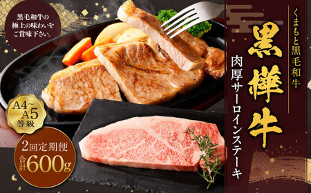 [2回定期便]黒樺牛 肉厚サーロインステーキ 約300g×1パック 計約600g 肉厚 サーロイン ステーキ サーロインステーキ 黒毛和牛 和牛 牛肉 牛