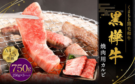 黒樺牛 焼肉用カルビ 計約750g(約250g×3パック) 焼肉用 カルビ 黒毛和牛 和牛 牛肉 牛