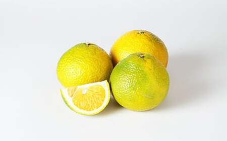 }CX^[̃XC[gXvO ǕiE󂠂荬 4kg i͔|Ԓ͖엿E_sgpj }CX^[ sY y2025N11{`2026N1{\z