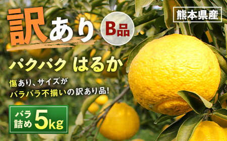 パクパクはるか 5kg バラ詰め 訳あり（B品） みかん ミカン 柑橘 果物 フルーツ【2026年2月下旬-6月下旬発送】