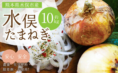 水俣 サラダ玉ねぎ 10kg 野菜 タマネギ サラダ 天ぷら [2026年4月下旬〜5月下旬発送]