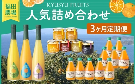 [ 3回定期便 ] 福田農場人気詰め合わせ 3ヶ月定期便 シロップ セット フルーツシロップセット フルーツシロップ フルーツ くだもの 果物 詰め合わせ 定期便 定期 ジャム ジュース