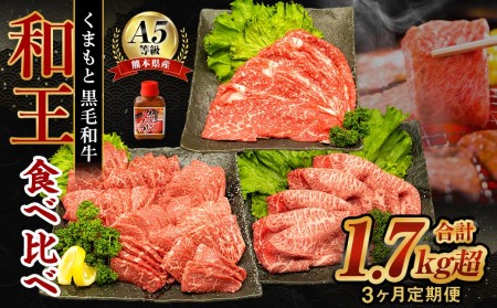 [3ヶ月定期便] 熊本県産 A5等級 黒毛和牛 和王 食べ比べ 合計約1750g 牛肉 セット