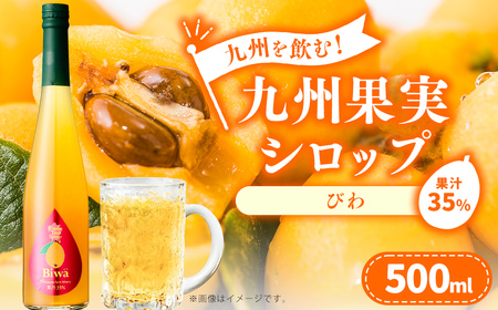 九州を飲む!九州果実 シロップ びわ 500ml 1本 約25杯分 フルーツ 果物 ジュース