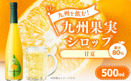 九州を飲む!九州果実 シロップ 甘夏 果物 フルーツ 柑橘 ジュース