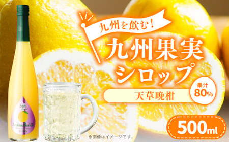 九州を飲む!九州果実 シロップ 天草晩柑 果物 フルーツ 柑橘 ジュース