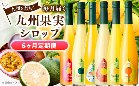 [6ヶ月定期便] 九州を飲む!毎月届く 九州果実シロップ 500ml×1本×6回 6種 果物 フルーツ ジュース