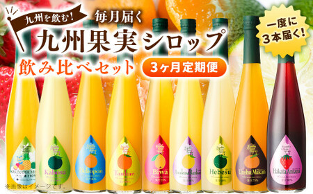 [3ヶ月定期便] 九州を飲む!毎月届く 九州果実シロップ 飲み比べセット 500ml×3本×3回 果物 フルーツ ジュース