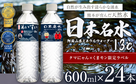 日本めいすい13℃ 600ml × 24本 熊本 玉名 水 ミネラルウォーター 水ミネラルウォｰタｰミネラルウォｰタｰ