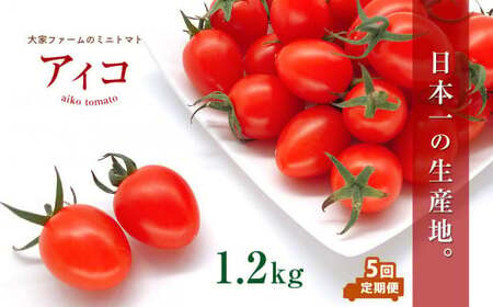 y5zwƃt@[x ~jg}g ACR 1.2kg×5 |  ₳ g}g ~jg}g   F{ ʖs ʖ