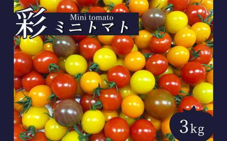 サザキ農園 ミニトマト 彩りセット(丸型) 3kg ミニトマトトマトミニトマトトマトミニトマトトマトミニトマトトマトミニトマトトマトミニトマトトマトミニトマトトマトミニトマトトマトミニトマトトマトミニトマトトマトミニトマトトマトミニトマトトマトミニトマトトマトミニトマトトマトミニトマトトマトミニトマトトマトミニトマトトマトミニトマトトマトミニトマトトマトミニトマトトマトミニトマトトマトミニトマトトマトミニトマトトマトミニトマトトマトミニトマトトマトミニトマトトマトミニトマトトマトミニトマトトマトミニトマトトマトミニトマトトマトミニトマトトマトミニトマトトマトミニトマトトマトミニトマトトマトミニトマトトマトミニトマトトマトミニトマトトマトミニトマトトマトミニトマトトマトミニトマトトマトミニトマトトマトミニトマトトマトミニトマトトマトミニトマトトマトミニトマトトマトミニトマトトマトミニトマトトマトミニトマトトマトミニトマトトマトミニトマトトマトミニトマトトマトミニトマトトマトミニトマトトマトミニトマトトマトミニトマトトマトミニトマトトマトミニトマトトマトミニトマトトマトミニトマトトマトミニトマトトマトミニトマトトマトミニトマトトマトミニトマトトマトミニトマトトマトミニトマトトマトミニトマトトマトミニトマトトマトミニトマトトマトミニトマトトマトミニトマトトマトミニトマトトマトミニトマトトマトミニトマトトマトミニトマトトマトミニトマトトマトミニトマトトマトミニトマトトマトミニトマトトマトミニトマトトマトミニトマトトマトミニトマトトマトミニトマトトマトミニトマトトマトミニトマトトマトミニトマトトマトミニトマトトマトミニトマトトマトミニトマトトマトミニトマトトマトミニトマトトマトミニトマトトマトミニトマトトマトミニトマトトマトミニトマトトマトミニトマトトマトミニトマトトマトミニトマトトマトミニトマトトマトミニトマトトマトミニトマトトマトミニトマトトマトミニトマトトマトミニトマトトマトミニトマトトマトミニトマトトマトミニトマトトマトミニトマトトマトミニトマトトマトミニトマトトマトミニトマトトマトミニトマトトマトミニトマトトマトミニトマトトマトミニトマトトマト