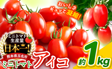 ミニトマト アイコ 約 1kg トマト 熊本 サザキ農園 野菜 生産量 日本一 玉名市 !! ミニトマトトマトミニトマトトマトミニトマトトマトミニトマトトマトミニトマトトマトミニトマトトマトミニトマトトマトミニトマトトマトミニトマトトマトミニトマトトマトミニトマトトマトミニトマトトマトミニトマトトマトミニトマトトマトミニトマトトマトミニトマトトマトミニトマトトマトミニトマトトマトミニトマトトマトミニトマトトマトミニトマトトマトミニトマトトマトミニトマトトマトミニトマトトマトミニトマトトマトミニトマトトマトミニトマトトマトミニトマトトマトミニトマトトマトミニトマトトマトミニトマトトマトミニトマトトマトミニトマトトマトミニトマトトマトミニトマトトマトミニトマトトマトミニトマトトマトミニトマトトマトミニトマトトマトミニトマトトマトミニトマトトマトミニトマトトマトミニトマトトマトミニトマトトマトミニトマトトマトミニトマトトマトミニトマトトマトミニトマトトマトミニトマトトマトミニトマトトマトミニトマトトマトミニトマトトマトミニトマトトマトミニトマトトマトミニトマトトマトミニトマトトマトミニトマトトマトミニトマトトマトミニトマトトマトミニトマトトマトミニトマトトマトミニトマトトマトミニトマトトマトミニトマトトマトミニトマトトマトミニトマトトマトミニトマトトマトミニトマトトマトミニトマトトマトミニトマトトマトミニトマトトマトミニトマトトマトミニトマトトマトミニトマトトマトミニトマトトマトミニトマトトマトミニトマトトマトミニトマトトマトミニトマトトマトミニトマトトマトミニトマトトマトミニトマトトマトミニトマトトマトミニトマトトマトミニトマトトマトミニトマトトマトミニトマトトマトミニトマトトマトミニトマトトマトミニトマトトマトミニトマトトマトミニトマトトマトミニトマトトマトミニトマトトマトミニトマトトマトミニトマトトマトミニトマトトマトミニトマトトマトミニトマトトマトミニトマトトマトミニトマトトマトミニトマトトマトミニトマトトマトミニトマトトマトミニトマトトマトミニトマトトマトミニトマトトマトミニトマトトマトミニトマトトマトミニトマトトマトミニトマトトマトミニトマトトマトミニトマトトマトミニトマトトマト