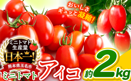 ミニトマト アイコ 約 2kg | 野菜 トマト とまと ミニトマト プチトマト 熊本 玉名 サザキ農園 ミニトマト 生産量 日本一 玉名市 !! ﾐﾆﾄﾏﾄﾄﾏﾄﾐﾆﾄﾏﾄﾄﾏﾄﾐﾆﾄﾏﾄﾄﾏﾄﾐﾆﾄﾏﾄﾄﾏﾄﾐﾆﾄﾏﾄﾄﾏﾄﾐﾆﾄﾏﾄﾄﾏﾄﾐﾆﾄﾏﾄﾄﾏﾄﾐﾆﾄﾏﾄﾄﾏﾄﾐﾆﾄﾏﾄﾄﾏﾄﾐﾆﾄﾏﾄﾄﾏﾄﾐﾆﾄﾏﾄﾄﾏﾄﾐﾆﾄﾏﾄﾄﾏﾄﾐﾆﾄﾏﾄﾄﾏﾄﾐﾆﾄﾏﾄﾄﾏﾄﾐﾆﾄﾏﾄﾄﾏﾄﾐﾆﾄﾏﾄﾄﾏﾄﾐﾆﾄﾏﾄﾄﾏﾄﾐﾆﾄﾏﾄﾄﾏﾄﾐﾆﾄﾏﾄﾄﾏﾄﾐﾆﾄﾏﾄﾄﾏﾄﾐﾆﾄﾏﾄﾄﾏﾄﾐﾆﾄﾏﾄﾄﾏﾄﾐﾆﾄﾏﾄﾄﾏﾄﾐﾆﾄﾏﾄﾄﾏﾄﾐﾆﾄﾏﾄﾄﾏﾄﾐﾆﾄﾏﾄﾄﾏﾄﾐﾆﾄﾏﾄﾄﾏﾄﾐﾆﾄﾏﾄﾄﾏﾄﾐﾆﾄﾏﾄﾄﾏﾄﾐﾆﾄﾏﾄﾄﾏﾄﾐﾆﾄﾏﾄﾄﾏﾄﾐﾆﾄﾏﾄﾄﾏﾄﾐﾆﾄﾏﾄﾄﾏﾄﾐﾆﾄﾏﾄﾄﾏﾄﾐﾆﾄﾏﾄﾄﾏﾄﾐﾆﾄﾏﾄﾄﾏﾄﾐﾆﾄﾏﾄﾄﾏﾄﾐﾆﾄﾏﾄﾄﾏﾄﾐﾆﾄﾏﾄﾄﾏﾄﾐﾆﾄﾏﾄﾄﾏﾄﾐﾆﾄﾏﾄﾄﾏﾄﾐﾆﾄﾏﾄﾄﾏﾄﾐﾆﾄﾏﾄﾄﾏﾄﾐﾆﾄﾏﾄﾄﾏﾄﾐﾆﾄﾏﾄﾄﾏﾄﾐﾆﾄﾏﾄﾄﾏﾄﾐﾆﾄﾏﾄﾄﾏﾄﾐﾆﾄﾏﾄﾄﾏﾄﾐﾆﾄﾏﾄﾄﾏﾄﾐﾆﾄﾏﾄﾄﾏﾄﾐﾆﾄﾏﾄﾄﾏﾄﾐﾆﾄﾏﾄﾄﾏﾄﾐﾆﾄﾏﾄﾄﾏﾄﾐﾆﾄﾏﾄﾄﾏﾄﾐﾆﾄﾏﾄﾄﾏﾄﾐﾆﾄﾏﾄﾄﾏﾄﾐﾆﾄﾏﾄﾄﾏﾄﾐﾆﾄﾏﾄﾄﾏﾄﾐﾆﾄﾏﾄﾄﾏﾄﾐﾆﾄﾏﾄﾄﾏﾄﾐﾆﾄﾏﾄﾄﾏﾄﾐﾆﾄﾏﾄﾄﾏﾄﾐﾆﾄﾏﾄﾄﾏﾄﾐﾆﾄﾏﾄﾄﾏﾄﾐﾆﾄﾏﾄﾄﾏﾄﾐﾆﾄﾏﾄﾄﾏﾄﾐﾆﾄﾏﾄﾄﾏﾄﾐﾆﾄﾏﾄﾄﾏﾄﾐﾆﾄﾏﾄﾄﾏﾄﾐﾆﾄﾏﾄﾄﾏﾄﾐﾆﾄﾏﾄﾄﾏﾄﾐﾆﾄﾏﾄﾄﾏﾄﾐﾆﾄﾏﾄﾄﾏﾄﾐﾆﾄﾏﾄﾄﾏﾄﾐﾆﾄﾏﾄﾄﾏﾄﾐﾆﾄﾏﾄﾄﾏﾄﾐﾆﾄﾏﾄﾄﾏﾄﾐﾆﾄﾏﾄﾄﾏﾄﾐﾆﾄﾏﾄﾄﾏﾄﾐﾆﾄﾏﾄﾄﾏﾄﾐﾆﾄﾏﾄﾄﾏﾄﾐﾆﾄﾏﾄﾄﾏﾄﾐﾆﾄﾏﾄﾄﾏﾄﾐﾆﾄﾏﾄﾄﾏﾄﾐﾆﾄﾏﾄﾄﾏﾄﾐﾆﾄﾏﾄﾄﾏﾄﾐﾆﾄﾏﾄﾄﾏﾄﾐﾆﾄﾏﾄﾄﾏﾄﾐﾆﾄﾏﾄﾄﾏﾄﾐﾆﾄﾏﾄﾄﾏﾄﾐﾆﾄﾏﾄﾄﾏﾄﾐﾆﾄﾏﾄﾄﾏﾄﾐﾆﾄﾏﾄﾄﾏﾄﾐﾆﾄﾏﾄﾄﾏﾄﾐﾆﾄﾏﾄﾄﾏﾄﾐﾆﾄﾏﾄﾄﾏﾄﾐﾆﾄﾏﾄﾄﾏﾄﾐﾆﾄﾏﾄﾄﾏﾄﾐﾆﾄﾏﾄﾄﾏﾄﾐﾆﾄﾏﾄﾄﾏﾄﾐﾆﾄﾏﾄﾄﾏﾄﾐﾆﾄﾏﾄﾄﾏﾄﾐﾆﾄﾏﾄﾄﾏﾄﾐﾆﾄﾏﾄﾄﾏﾄﾐﾆﾄﾏﾄﾄﾏﾄﾐﾆﾄﾏﾄﾄﾏﾄﾐﾆﾄﾏﾄﾄﾏﾄﾐﾆﾄﾏﾄﾄﾏﾄﾐﾆﾄﾏﾄﾄﾏﾄﾐﾆﾄﾏﾄﾄﾏﾄ