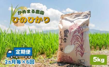 【 定期便 6回 】 かめまる農園の「ひのひかり」5kg（2ヶ月毎×6回） | 米 こめ お米 おこめ 白米 精米 定期便 熊本県産 熊本県 玉名市