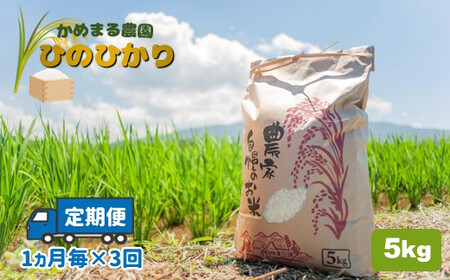 [定期便3回] かめまる農園の「ひのひかり」5kg×3回 | 米 こめ お米 おこめ 白米 精米 定期便 熊本県産 熊本県 玉名市