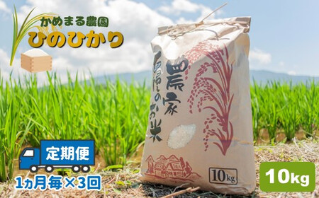 【定期便3回】 かめまる農園の「ひのひかり」10kg×3回 | 米 こめ お米 おこめ 白米 精米 定期便 熊本県産 熊本県 玉名市