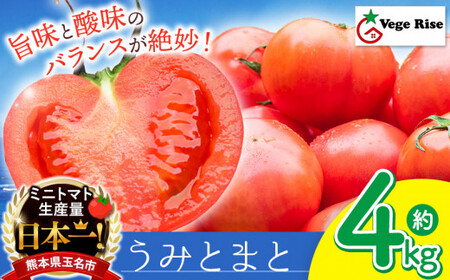玉名市産トマト「うみとまと」 4kgトマトトマトトマトトマトトマトトマトトマトトマトトマト