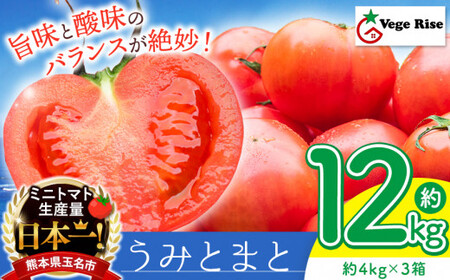 玉名市産 トマト 「 うみとまと 」 約 12kg ( 4kg × 3箱 ) 