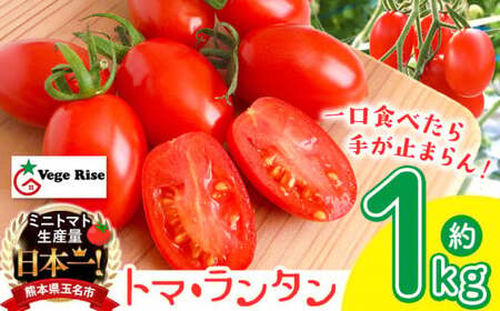 ミニトマト 生産量 日本一 玉名市 !! 「 トマ・ランタン 」 約 1kg 