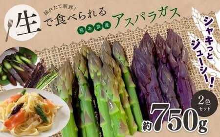 生で食べれる ‼ アスパラガス 2色 セット( グリーン ・ パープル )約 750g 新鮮 アスパラ 野菜 ソムリエ 健康 熊本県産