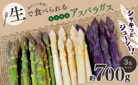 生で食べれる ‼ アスパラガス 3色 セット( グリーン ・ホワイト ・ パープル )約 700g 新鮮 アスパラ 野菜 ソムリエ 健康 熊本県産