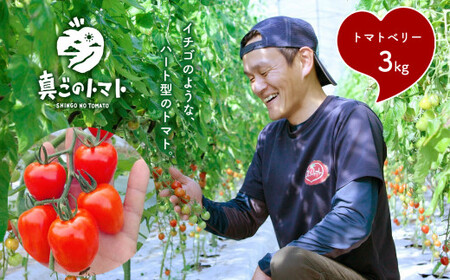 ミニトマト 生産量 日本一 玉名市 !! トマトベリー 約 3kg | 野菜 トマト 希少 プチトマト 熊本 玉名 ﾐﾆﾄﾏﾄﾄﾏﾄﾐﾆﾄﾏﾄﾄﾏﾄﾐﾆﾄﾏﾄﾄﾏﾄﾐﾆﾄﾏﾄﾄﾏﾄﾐﾆﾄﾏﾄﾄﾏﾄﾐﾆﾄﾏﾄﾄﾏﾄﾐﾆﾄﾏﾄﾄﾏﾄﾐﾆﾄﾏﾄﾄﾏﾄﾐﾆﾄﾏﾄﾄﾏﾄﾐﾆﾄﾏﾄﾄﾏﾄﾐﾆﾄﾏﾄﾄﾏﾄﾐﾆﾄﾏﾄﾄﾏﾄﾐﾆﾄﾏﾄﾄﾏﾄﾐﾆﾄﾏﾄﾄﾏﾄﾐﾆﾄﾏﾄﾄﾏﾄﾐﾆﾄﾏﾄﾄﾏﾄﾐﾆﾄﾏﾄﾄﾏﾄﾐﾆﾄﾏﾄﾄﾏﾄﾐﾆﾄﾏﾄﾄﾏﾄﾐﾆﾄﾏﾄﾄﾏﾄﾐﾆﾄﾏﾄﾄﾏﾄﾐﾆﾄﾏﾄﾄﾏﾄﾐﾆﾄﾏﾄﾄﾏﾄﾐﾆﾄﾏﾄﾄﾏﾄﾐﾆﾄﾏﾄﾄﾏﾄﾐﾆﾄﾏﾄﾄﾏﾄﾐﾆﾄﾏﾄﾄﾏﾄﾐﾆﾄﾏﾄﾄﾏﾄﾐﾆﾄﾏﾄﾄﾏﾄﾐﾆﾄﾏﾄﾄﾏﾄﾐﾆﾄﾏﾄﾄﾏﾄﾐﾆﾄﾏﾄﾄﾏﾄﾐﾆﾄﾏﾄﾄﾏﾄﾐﾆﾄﾏﾄﾄﾏﾄﾐﾆﾄﾏﾄﾄﾏﾄﾐﾆﾄﾏﾄﾄﾏﾄﾐﾆﾄﾏﾄﾄﾏﾄﾐﾆﾄﾏﾄﾄﾏﾄﾐﾆﾄﾏﾄﾄﾏﾄﾐﾆﾄﾏﾄﾄﾏﾄﾐﾆﾄﾏﾄﾄﾏﾄﾐﾆﾄﾏﾄﾄﾏﾄﾐﾆﾄﾏﾄﾄﾏﾄﾐﾆﾄﾏﾄﾄﾏﾄﾐﾆﾄﾏﾄﾄﾏﾄﾐﾆﾄﾏﾄﾄﾏﾄﾐﾆﾄﾏﾄﾄﾏﾄﾐﾆﾄﾏﾄﾄﾏﾄﾐﾆﾄﾏﾄﾄﾏﾄﾐﾆﾄﾏﾄﾄﾏﾄﾐﾆﾄﾏﾄﾄﾏﾄﾐﾆﾄﾏﾄﾄﾏﾄﾐﾆﾄﾏﾄﾄﾏﾄﾐﾆﾄﾏﾄﾄﾏﾄﾐﾆﾄﾏﾄﾄﾏﾄﾐﾆﾄﾏﾄﾄﾏﾄﾐﾆﾄﾏﾄﾄﾏﾄﾐﾆﾄﾏﾄﾄﾏﾄﾐﾆﾄﾏﾄﾄﾏﾄﾐﾆﾄﾏﾄﾄﾏﾄﾐﾆﾄﾏﾄﾄﾏﾄﾐﾆﾄﾏﾄﾄﾏﾄﾐﾆﾄﾏﾄﾄﾏﾄﾐﾆﾄﾏﾄﾄﾏﾄﾐﾆﾄﾏﾄﾄﾏﾄﾐﾆﾄﾏﾄﾄﾏﾄﾐﾆﾄﾏﾄﾄﾏﾄﾐﾆﾄﾏﾄﾄﾏﾄﾐﾆﾄﾏﾄﾄﾏﾄﾐﾆﾄﾏﾄﾄﾏﾄﾐﾆﾄﾏﾄﾄﾏﾄﾐﾆﾄﾏﾄﾄﾏﾄﾐﾆﾄﾏﾄﾄﾏﾄﾐﾆﾄﾏﾄﾄﾏﾄﾐﾆﾄﾏﾄﾄﾏﾄﾐﾆﾄﾏﾄﾄﾏﾄﾐﾆﾄﾏﾄﾄﾏﾄﾐﾆﾄﾏﾄﾄﾏﾄﾐﾆﾄﾏﾄﾄﾏﾄﾐﾆﾄﾏﾄﾄﾏﾄﾐﾆﾄﾏﾄﾄﾏﾄﾐﾆﾄﾏﾄﾄﾏﾄﾐﾆﾄﾏﾄﾄﾏﾄﾐﾆﾄﾏﾄﾄﾏﾄﾐﾆﾄﾏﾄﾄﾏﾄﾐﾆﾄﾏﾄﾄﾏﾄﾐﾆﾄﾏﾄﾄﾏﾄﾐﾆﾄﾏﾄﾄﾏﾄﾐﾆﾄﾏﾄﾄﾏﾄﾐﾆﾄﾏﾄﾄﾏﾄﾐﾆﾄﾏﾄﾄﾏﾄﾐﾆﾄﾏﾄﾄﾏﾄﾐﾆﾄﾏﾄﾄﾏﾄﾐﾆﾄﾏﾄﾄﾏﾄﾐﾆﾄﾏﾄﾄﾏﾄﾐﾆﾄﾏﾄﾄﾏﾄﾐﾆﾄﾏﾄﾄﾏﾄﾐﾆﾄﾏﾄﾄﾏﾄﾐﾆﾄﾏﾄﾄﾏﾄﾐﾆﾄﾏﾄﾄﾏﾄﾐﾆﾄﾏﾄﾄﾏﾄﾐﾆﾄﾏﾄﾄﾏﾄﾐﾆﾄﾏﾄﾄﾏﾄﾐﾆﾄﾏﾄﾄﾏﾄﾐﾆﾄﾏﾄﾄﾏﾄﾐﾆﾄﾏﾄﾄﾏﾄﾐﾆﾄﾏﾄﾄﾏﾄﾐﾆﾄﾏﾄﾄﾏﾄﾐﾆﾄﾏﾄﾄﾏﾄﾐﾆﾄﾏﾄﾄﾏﾄﾐﾆﾄﾏﾄﾄﾏﾄﾐﾆﾄﾏﾄﾄﾏﾄﾐﾆﾄﾏﾄﾄﾏﾄﾐﾆﾄﾏﾄﾄﾏﾄ