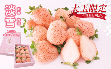 熊本玉名 白いちご「淡雪」(大玉限定400g)[化粧箱付]