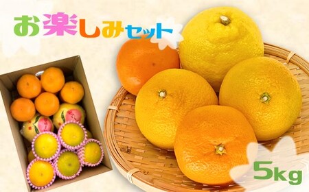 旬の玉名産みかん約5kg詰め合わせ [ お楽しみセット ] | 果物 くだもの フルーツ 柑橘 柑橘類 みかん 熊本県 玉名市 詰め合わせ 旬 セット お楽しみ