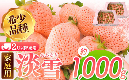 【2月以降発送】ご家庭用淡雪 約1000g ｜ フルーツ 果物 いちご 淡雪 熊本 玉名いちごいちごいちごいちごいちごいちごいちごいちごいちごいちごいちごいちごいちごいちごいちごいちごいちごいちごいちごいちごいちごいちごいちごいちごいちごいちごいちごいちごいちごいちごいちごいちごいちごいちごいちごいちごいちごいちごいちごいちごいちごいちごいちごいちごいちごいちごいちごいちごいちごいちごいちごいちごいちごいちごいちごいちごいちごいちごいちごいちごいちごいちごいちごいちごいちごいちごいちごいちごいちごいちごいちごいちごいちごいちごいちごいちごいちごいちごいちごいちごいちごいちごいちごいちごいちごいちごいちごいちごいちごいちごいちごいちごいちごいちごいちごいちごいちごいちごいちごいちごいちごいちごいちごいちごいちごいちごいちごいちごいちごいちごいちごいちごいちごいちごいちごいちごいちごいちごいちごいちごいちごいちごいちごいちごいちごいちごいちごいちごいちごいちごいちごいちごいちごいちごいちごいちごいちごいちごいちごいちごいちごいちごいちごいちごいちごいちごいちごいちごいちごいちごいちごいちごいちごいちごいちごいちごいちごいちごいちごいちごいちごいちごいちごいちごいちごいちごいちごいちごいちごいちごいちごいちごいちごいちごいちごいちごいちごいちごいちごいちごいちごいちごいちごいちごいちごいちごいちごいちごいちごいちごいちごいちごいちごいちごいちごいちごいちごいちごいちごいちごいちごいちごいちごいちごいちごいちごいちごいちごいちごいちごいちごいちごいちごいちごいちごいちごいちごいちごいちごいちごいちごいちごいちごいちごいちごいちごいちごいちごいちごいちごいちごいちごいちごいちごいちごいちごいちごいちごいちごいちごいちごいちごいちごいちごいちごいちごいちごいちごいちごいちごいちごいちごいちごいちごいちごいちごいちごいちごいちごいちごいちごいちごいちごいちごいちごいちごいちごいちごいちごいちごいちごいちごいちごいちごいちごいちごいちごいちごいちごいちごいちごいちごいちごいちごいちごいちごいちごいちごいちごいちごいちごいちごいちごいちごいちごいちごいちごいちごいちごいちごいちごいちごいちごいちごいちごいちごいちごいちごいちごいちごいちごいちごいちごいちごいちごいちごいちごいちご