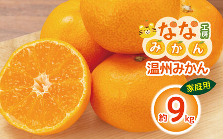[ 家庭用 ] 温州みかん 9kg | フルーツ 果物 くだもの 柑橘 柑橘類 みかん ミカン 温州みかん 温州ミカン 熊本県 玉名市