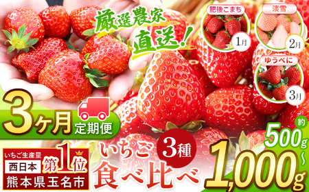 [ 定期便 3回 ] イチゴ 生産量 西 日本一 玉名市 ? 3種 いちご 500g or 1000g | フルーツ 果物 くだもの 苺 いちご 白 いちご