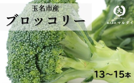 玉名市産 ブロッコリー 13〜15本 | 野菜 やさい ミネラル 豊富 熊本県 玉名市