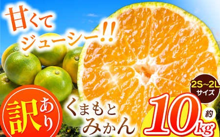 訳あり くまもと みかん 約 10kg 【 10月 ～ 11月上旬頃 発送 】 | 果物 フルーツ 柑橘類 みかん 家庭用 熊本県 玉名市 ﾐｶﾝﾐｶﾝﾐｶﾝﾐｶﾝﾐｶﾝﾐｶﾝﾐｶﾝﾐｶﾝﾐｶﾝﾐｶﾝﾐｶﾝﾐｶﾝﾐｶﾝﾐｶﾝﾐｶﾝﾐｶﾝﾐｶﾝﾐｶﾝﾐｶﾝﾐｶﾝﾐｶﾝﾐｶﾝﾐｶﾝﾐｶﾝﾐｶﾝﾐｶﾝﾐｶﾝﾐｶﾝﾐｶﾝﾐｶﾝﾐｶﾝﾐｶﾝﾐｶﾝﾐｶﾝﾐｶﾝﾐｶﾝﾐｶﾝﾐｶﾝﾐｶﾝﾐｶﾝﾐｶﾝﾐｶﾝﾐｶﾝﾐｶﾝﾐｶﾝﾐｶﾝﾐｶﾝﾐｶﾝﾐｶﾝﾐｶﾝﾐｶﾝﾐｶﾝﾐｶﾝﾐｶﾝﾐｶﾝﾐｶﾝﾐｶﾝﾐｶﾝﾐｶﾝﾐｶﾝﾐｶﾝﾐｶﾝﾐｶﾝﾐｶﾝﾐｶﾝﾐｶﾝﾐｶﾝﾐｶﾝﾐｶﾝﾐｶﾝﾐｶﾝﾐｶﾝﾐｶﾝﾐｶﾝﾐｶﾝﾐｶﾝﾐｶﾝﾐｶﾝﾐｶﾝﾐｶﾝﾐｶﾝﾐｶﾝﾐｶﾝﾐｶﾝﾐｶﾝﾐｶﾝﾐｶﾝﾐｶﾝﾐｶﾝﾐｶﾝﾐｶﾝﾐｶﾝﾐｶﾝﾐｶﾝﾐｶﾝﾐｶﾝﾐｶﾝﾐｶﾝﾐｶﾝﾐｶﾝﾐｶﾝﾐｶﾝﾐｶﾝﾐｶﾝﾐｶﾝﾐｶﾝﾐｶﾝﾐｶﾝﾐｶﾝﾐｶﾝﾐｶﾝﾐｶﾝﾐｶﾝﾐｶﾝﾐｶﾝﾐｶﾝﾐｶﾝﾐｶﾝﾐｶﾝﾐｶﾝﾐｶﾝﾐｶﾝﾐｶﾝﾐｶﾝﾐｶﾝﾐｶﾝﾐｶﾝﾐｶﾝﾐｶﾝﾐｶﾝﾐｶﾝﾐｶﾝﾐｶﾝﾐｶﾝﾐｶﾝﾐｶﾝﾐｶﾝﾐｶﾝﾐｶﾝﾐｶﾝﾐｶﾝﾐｶﾝﾐｶﾝﾐｶﾝﾐｶﾝﾐｶﾝﾐｶﾝﾐｶﾝﾐｶﾝﾐｶﾝﾐｶﾝﾐｶﾝﾐｶﾝﾐｶﾝﾐｶﾝﾐｶﾝﾐｶﾝﾐｶﾝﾐｶﾝﾐｶﾝﾐｶﾝﾐｶﾝﾐｶﾝﾐｶﾝﾐｶﾝﾐｶﾝﾐｶﾝﾐｶﾝﾐｶﾝﾐｶﾝﾐｶﾝﾐｶﾝﾐｶﾝﾐｶﾝﾐｶﾝﾐｶﾝﾐｶﾝﾐｶﾝﾐｶﾝﾐｶﾝﾐｶﾝﾐｶﾝﾐｶﾝﾐｶﾝﾐｶﾝﾐｶﾝﾐｶﾝﾐｶﾝﾐｶﾝﾐｶﾝﾐｶﾝﾐｶﾝﾐｶﾝﾐｶﾝﾐｶﾝﾐｶﾝﾐｶﾝﾐｶﾝﾐｶﾝﾐｶﾝﾐｶﾝﾐｶﾝﾐｶﾝﾐｶﾝﾐｶﾝﾐｶﾝﾐｶﾝﾐｶﾝﾐｶﾝﾐｶﾝﾐｶﾝﾐｶﾝﾐｶﾝﾐｶﾝﾐｶﾝﾐｶﾝﾐｶﾝﾐｶﾝﾐｶﾝﾐｶﾝﾐｶﾝﾐｶﾝﾐｶﾝﾐｶﾝﾐｶﾝﾐｶﾝﾐｶﾝﾐｶﾝﾐｶﾝﾐｶﾝﾐｶﾝﾐｶﾝﾐｶﾝﾐｶﾝﾐｶﾝﾐｶﾝﾐｶﾝﾐｶﾝﾐｶﾝﾐｶﾝﾐｶﾝﾐｶﾝﾐｶﾝﾐｶﾝﾐｶﾝﾐｶﾝﾐｶﾝﾐｶﾝﾐｶﾝﾐｶﾝﾐｶﾝﾐｶﾝﾐｶﾝﾐｶﾝﾐｶﾝﾐｶﾝﾐｶﾝﾐｶﾝﾐｶﾝﾐｶﾝﾐｶﾝﾐｶﾝﾐｶﾝﾐｶﾝﾐｶﾝﾐｶﾝﾐｶﾝﾐｶﾝﾐｶﾝﾐｶﾝﾐｶﾝﾐｶﾝﾐｶﾝﾐｶﾝﾐｶﾝﾐｶﾝﾐｶﾝﾐｶﾝﾐｶﾝﾐｶﾝﾐｶﾝﾐｶﾝﾐｶﾝﾐｶﾝﾐｶﾝﾐｶﾝﾐｶﾝﾐｶﾝﾐｶﾝﾐｶﾝﾐｶﾝﾐｶﾝﾐｶﾝﾐｶﾝﾐｶﾝﾐｶﾝﾐｶﾝﾐｶﾝﾐｶﾝﾐｶﾝﾐｶﾝﾐｶﾝﾐｶﾝﾐｶﾝﾐｶﾝﾐｶﾝﾐｶﾝﾐｶﾝ