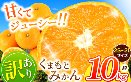 訳あり くまもと みかん 約 10kg 【 11月中旬頃～1月頃まで 発送 】  | 果物 フルーツ 柑橘類 みかん 家庭用 熊本県 玉名市 ﾐｶﾝﾐｶﾝﾐｶﾝﾐｶﾝﾐｶﾝﾐｶﾝﾐｶﾝﾐｶﾝﾐｶﾝﾐｶﾝﾐｶﾝﾐｶﾝﾐｶﾝﾐｶﾝﾐｶﾝﾐｶﾝﾐｶﾝﾐｶﾝﾐｶﾝﾐｶﾝﾐｶﾝﾐｶﾝﾐｶﾝﾐｶﾝﾐｶﾝﾐｶﾝﾐｶﾝﾐｶﾝﾐｶﾝﾐｶﾝﾐｶﾝﾐｶﾝﾐｶﾝﾐｶﾝﾐｶﾝﾐｶﾝﾐｶﾝﾐｶﾝﾐｶﾝﾐｶﾝﾐｶﾝﾐｶﾝﾐｶﾝﾐｶﾝﾐｶﾝﾐｶﾝﾐｶﾝﾐｶﾝﾐｶﾝﾐｶﾝﾐｶﾝﾐｶﾝﾐｶﾝﾐｶﾝﾐｶﾝﾐｶﾝﾐｶﾝﾐｶﾝﾐｶﾝﾐｶﾝﾐｶﾝﾐｶﾝﾐｶﾝﾐｶﾝﾐｶﾝﾐｶﾝﾐｶﾝﾐｶﾝﾐｶﾝﾐｶﾝﾐｶﾝﾐｶﾝﾐｶﾝﾐｶﾝﾐｶﾝﾐｶﾝﾐｶﾝﾐｶﾝﾐｶﾝﾐｶﾝﾐｶﾝﾐｶﾝﾐｶﾝﾐｶﾝﾐｶﾝﾐｶﾝﾐｶﾝﾐｶﾝﾐｶﾝﾐｶﾝﾐｶﾝﾐｶﾝﾐｶﾝﾐｶﾝﾐｶﾝﾐｶﾝﾐｶﾝﾐｶﾝﾐｶﾝﾐｶﾝﾐｶﾝﾐｶﾝﾐｶﾝﾐｶﾝﾐｶﾝﾐｶﾝﾐｶﾝﾐｶﾝﾐｶﾝﾐｶﾝﾐｶﾝﾐｶﾝﾐｶﾝﾐｶﾝﾐｶﾝﾐｶﾝﾐｶﾝﾐｶﾝﾐｶﾝﾐｶﾝﾐｶﾝﾐｶﾝﾐｶﾝﾐｶﾝﾐｶﾝﾐｶﾝﾐｶﾝﾐｶﾝﾐｶﾝﾐｶﾝﾐｶﾝﾐｶﾝﾐｶﾝﾐｶﾝﾐｶﾝﾐｶﾝﾐｶﾝﾐｶﾝﾐｶﾝﾐｶﾝﾐｶﾝﾐｶﾝﾐｶﾝﾐｶﾝﾐｶﾝﾐｶﾝﾐｶﾝﾐｶﾝﾐｶﾝﾐｶﾝﾐｶﾝﾐｶﾝﾐｶﾝﾐｶﾝﾐｶﾝﾐｶﾝﾐｶﾝﾐｶﾝﾐｶﾝﾐｶﾝﾐｶﾝﾐｶﾝﾐｶﾝﾐｶﾝﾐｶﾝﾐｶﾝﾐｶﾝﾐｶﾝﾐｶﾝﾐｶﾝﾐｶﾝﾐｶﾝﾐｶﾝﾐｶﾝﾐｶﾝﾐｶﾝﾐｶﾝﾐｶﾝﾐｶﾝﾐｶﾝﾐｶﾝﾐｶﾝﾐｶﾝﾐｶﾝﾐｶﾝﾐｶﾝﾐｶﾝﾐｶﾝﾐｶﾝﾐｶﾝﾐｶﾝﾐｶﾝﾐｶﾝﾐｶﾝﾐｶﾝﾐｶﾝﾐｶﾝﾐｶﾝﾐｶﾝﾐｶﾝﾐｶﾝﾐｶﾝﾐｶﾝﾐｶﾝﾐｶﾝﾐｶﾝﾐｶﾝﾐｶﾝﾐｶﾝﾐｶﾝﾐｶﾝﾐｶﾝﾐｶﾝﾐｶﾝﾐｶﾝﾐｶﾝﾐｶﾝﾐｶﾝﾐｶﾝﾐｶﾝﾐｶﾝﾐｶﾝﾐｶﾝﾐｶﾝﾐｶﾝﾐｶﾝﾐｶﾝﾐｶﾝﾐｶﾝﾐｶﾝﾐｶﾝﾐｶﾝﾐｶﾝﾐｶﾝﾐｶﾝﾐｶﾝﾐｶﾝﾐｶﾝﾐｶﾝﾐｶﾝﾐｶﾝﾐｶﾝﾐｶﾝﾐｶﾝﾐｶﾝﾐｶﾝﾐｶﾝﾐｶﾝﾐｶﾝﾐｶﾝﾐｶﾝﾐｶﾝﾐｶﾝﾐｶﾝﾐｶﾝﾐｶﾝﾐｶﾝﾐｶﾝﾐｶﾝﾐｶﾝﾐｶﾝﾐｶﾝﾐｶﾝﾐｶﾝﾐｶﾝﾐｶﾝﾐｶﾝﾐｶﾝﾐｶﾝﾐｶﾝﾐｶﾝﾐｶﾝﾐｶﾝﾐｶﾝﾐｶﾝﾐｶﾝﾐｶﾝﾐｶﾝﾐｶﾝﾐｶﾝﾐｶﾝﾐｶﾝﾐｶﾝﾐｶﾝﾐｶﾝﾐｶﾝﾐｶﾝﾐｶﾝﾐｶﾝﾐｶﾝﾐｶﾝﾐｶﾝﾐｶﾝﾐｶﾝﾐｶﾝﾐｶﾝﾐｶﾝﾐｶﾝﾐｶﾝﾐｶﾝﾐｶﾝﾐｶﾝﾐｶﾝﾐｶﾝﾐｶﾝﾐｶﾝﾐｶﾝﾐｶﾝ