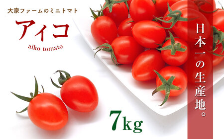 『大家ファーム』のミニトマト アイコ 3.5kg × 2箱 | 野菜 やさい ヤサイ トマト とまと ミニトマト 7kg 大家ファーム 熊本県 玉名市