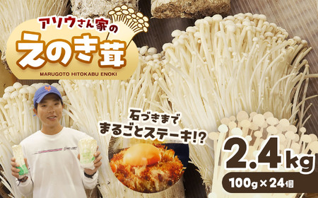 アソウさん家のえのき茸 100g×24個 | 野菜 やさい きのこ キノコ えのき エノキ 大容量 小分け 100g 24個 熊本県 玉名市