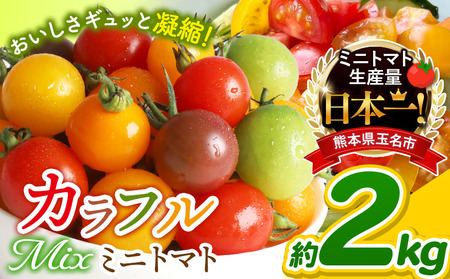 ミニトマト 生産量 日本一 玉名市 !! カラフル ミニトマト 約 2kg ( ミックス ) サザキ農園 | 野菜 トマト ミニトマト 熊本県 玉名市