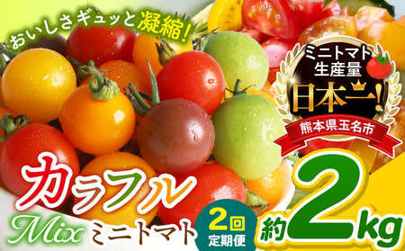 [ 定期便 2回 ] ミニトマト 生産量 日本一 玉名市 !! カラフル ミニトマト 約 2kg ( ミックス ) サザキ農園 | 野菜 トマト ミニトマト 熊本県 玉名市 定期便