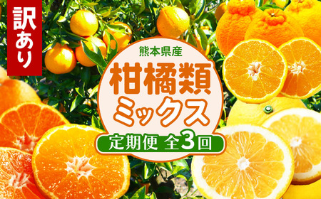 [ 定期便 3回 ] 訳あり 柑橘類 ミックス 定期便 みかん 不知火 河内晩柑 後藤農園 | フルーツ 果物 くだもの 柑橘 ご家庭用 家庭用 熊本県 玉名市