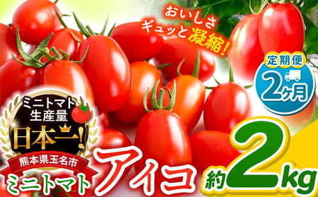 [ 定期便 2回 ]ミニトマト アイコ 約 2kg サザキ農園 | 野菜 トマト 熊本 サザキ農園 ミニトマト 生産量 日本一 玉名市 !! くまもと たまな