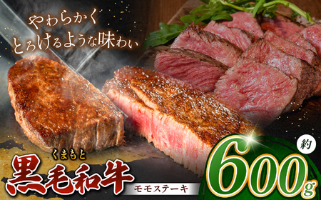 熊本県産 黒毛和牛 モモ ステーキ 約 600g | 肉 にく お肉 おにく 牛 牛肉 和牛 モモステーキ 600グラム 熊本県 玉名市