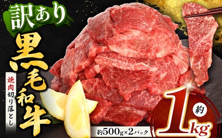 F{Y јa ē ؂藎Ƃ  1kg |  ɂ  ɂ   a Ă ؂藎 ؗ 1L F{ ʖs