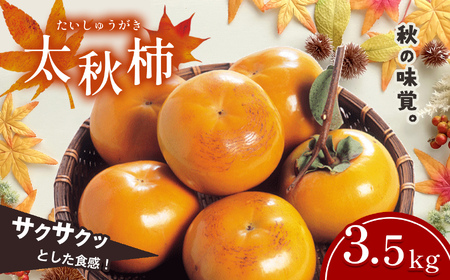 太秋柿 3.5kg 箱入り | 果物 くだもの フルーツ 柿 太秋 旬 秋 味覚 熊本県 玉名市