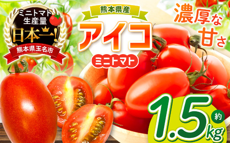 ミニトマト 生産量 日本一 玉名市 !!アイコトマト 約 1.5kg | 野菜 やさい トマト とまと アイコ 人気 熊本県 玉名市 くまもと たまな