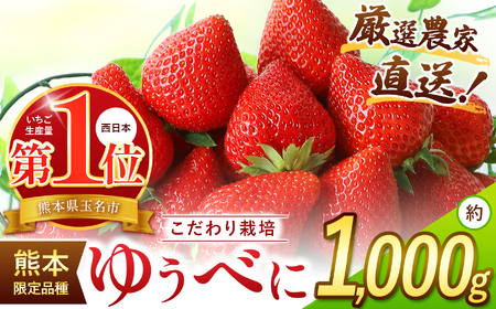 厳選農家直送 ゆうべに 約1000g 